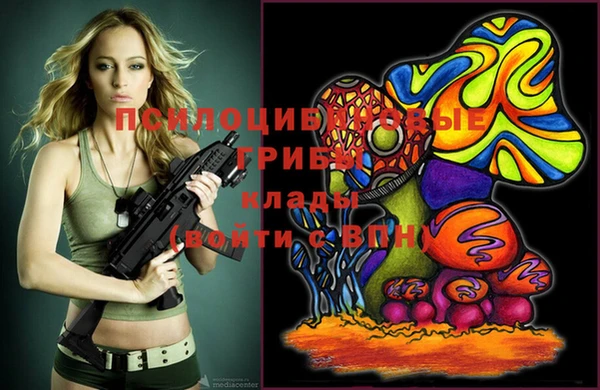a pvp Алзамай