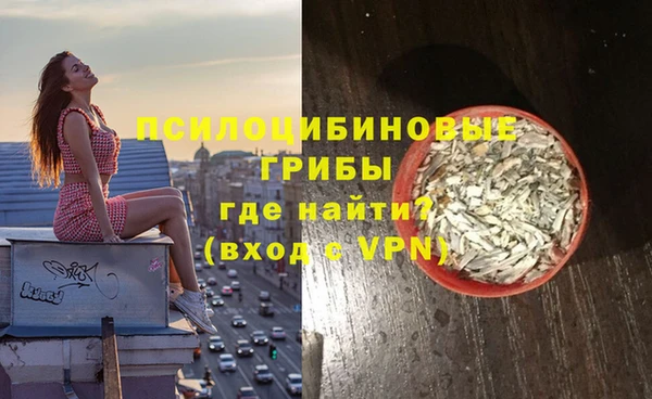 шишки Алексин