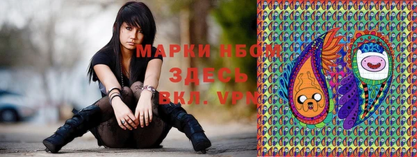 шишки Алексин