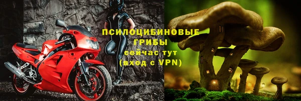 шишки Алексин