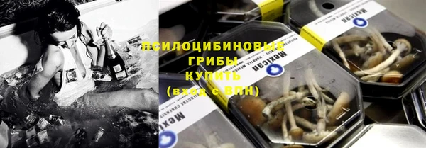 шишки Алексин